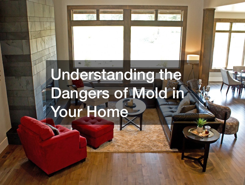 Understanding the Dangers of Mold in Your Home